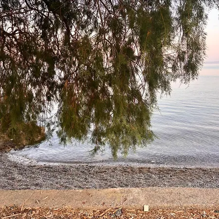 Giotas Near The Sea Artaki * Nea Artaki